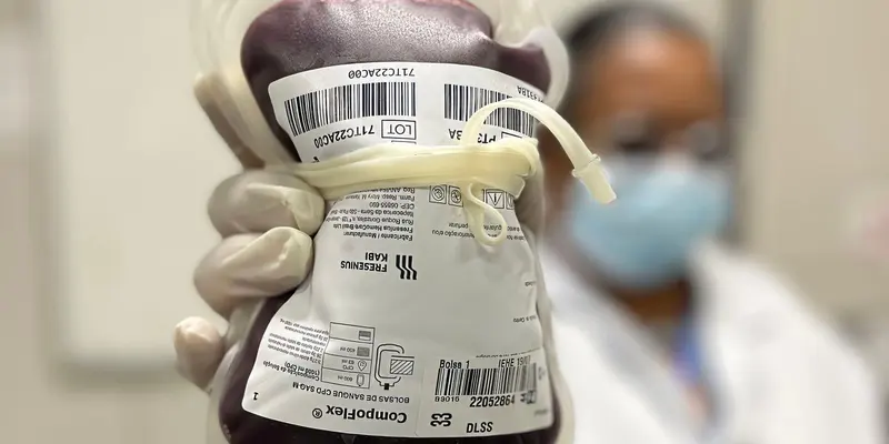 Profissional de saúde de máscara segura bolsa de sangue em hemocentro